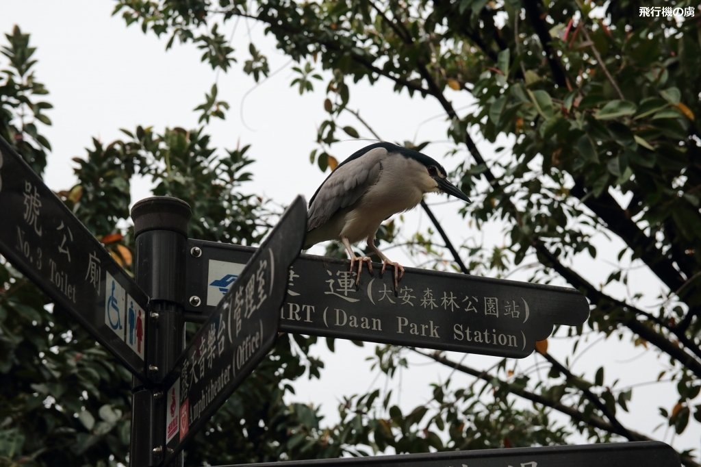 b0313338_00164787.jpg