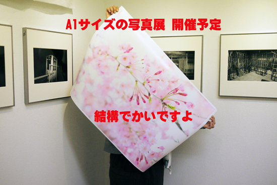 A1展(仮)。_e0158242_12382922.jpg