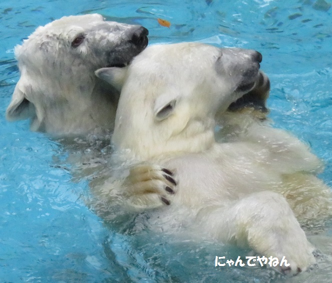 雨だったけど_f0002743_16465615.jpg