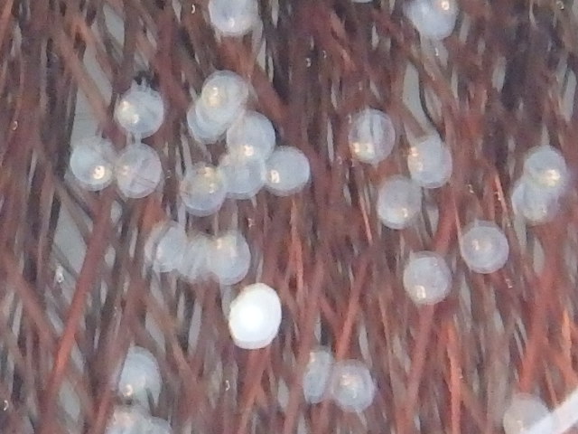 f0334143_13213888.jpg