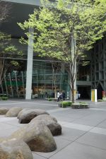 警視庁捜査一課9係 第11シーズン「時間差殺人」_e0080345_8261736.jpg