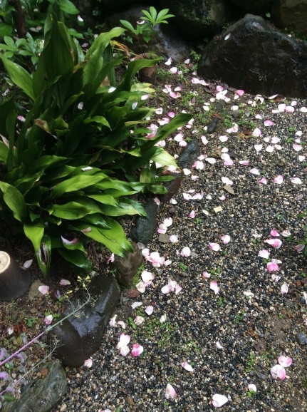 a0307846_19165496.jpeg