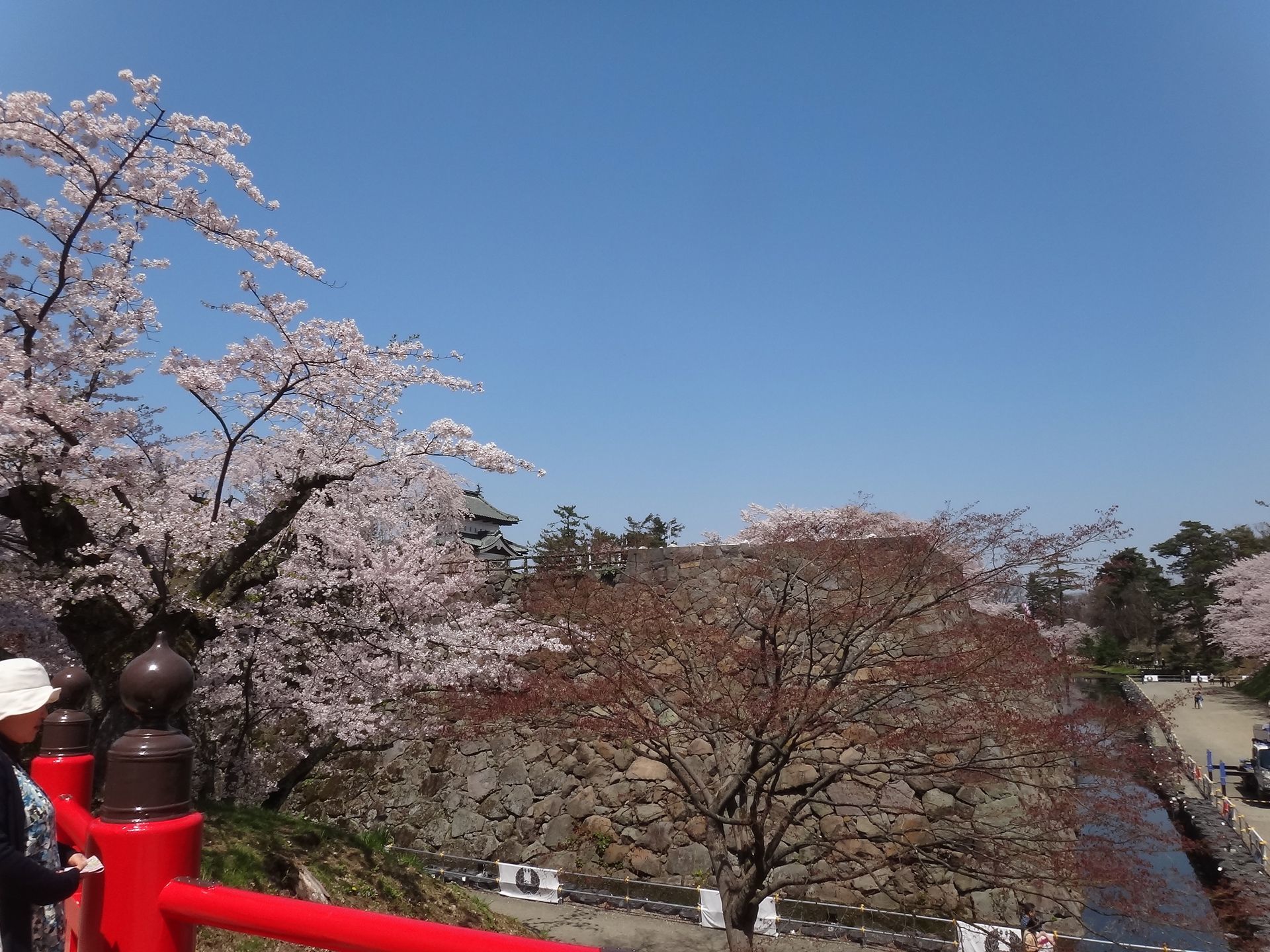 弘前公園の桜 with 1290 Super Duke R_f0004270_21082236.jpg