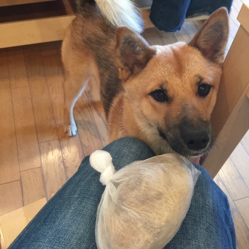 c0364176_09284022.jpeg