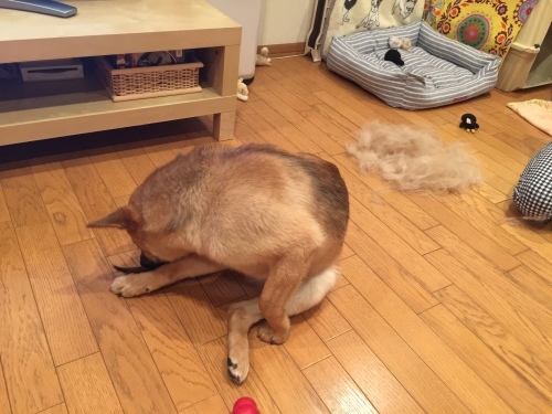 c0364176_09432480.jpeg