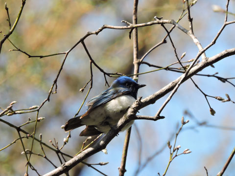 f0083977_17102146.jpg