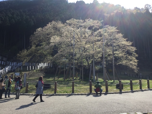 a0118079_00261838.jpeg