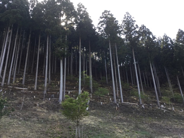 a0118079_00271276.jpeg
