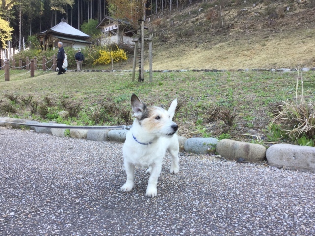 a0118079_00274142.jpeg