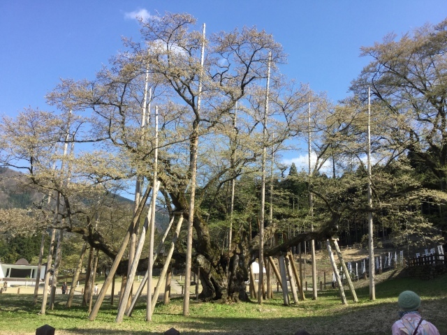 a0118079_00303055.jpeg