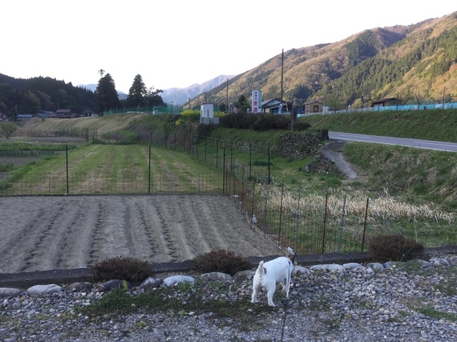 a0118079_00321501.jpeg