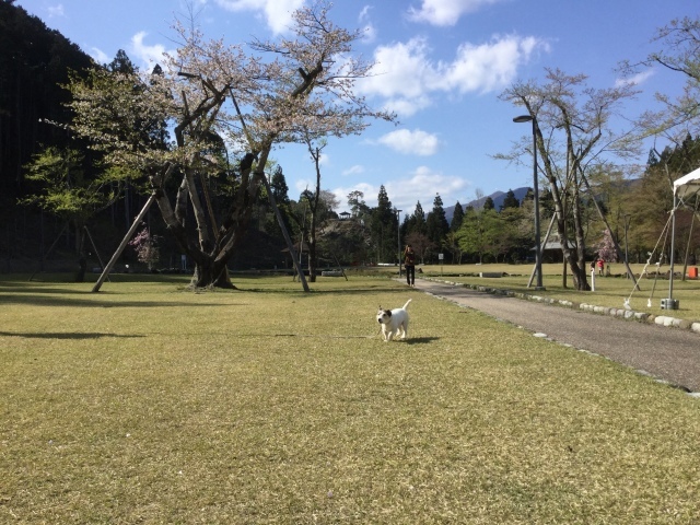 a0118079_20030261.jpeg