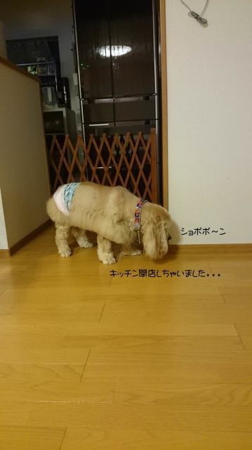 f0218182_09302579.jpg