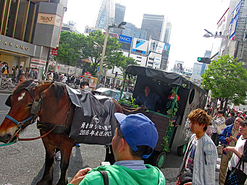 a0188487_0253476.jpg