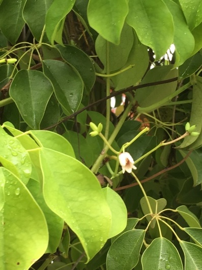 b0336787_00381272.jpeg