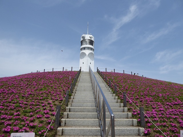 海と船と灯台と芝桜 横浜港シンボルタワーって解放感たっぷり ルソイの半バックパッカー旅