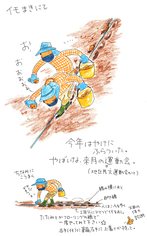 f0236291_6484741.gif