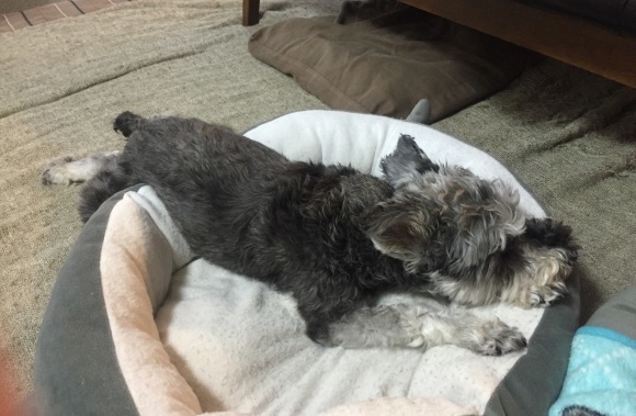 b0188998_21473306.jpeg