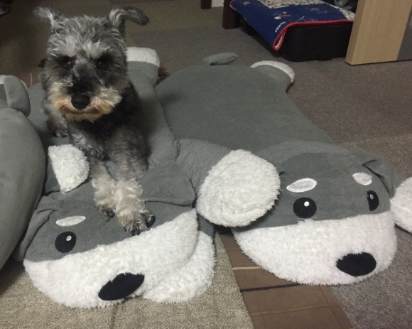 b0188998_21483609.jpeg