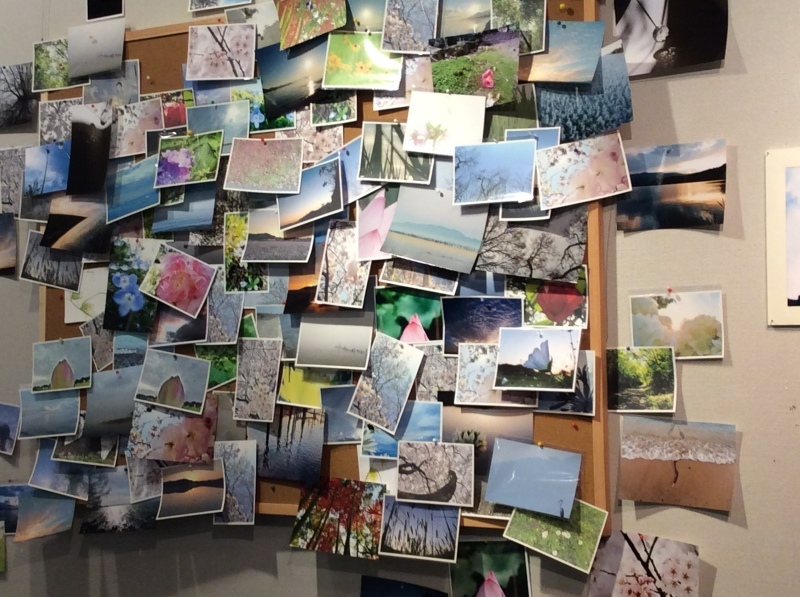 b0220002_05132908.jpeg