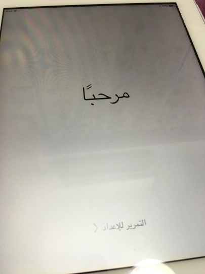 b0043506_23435275.jpeg