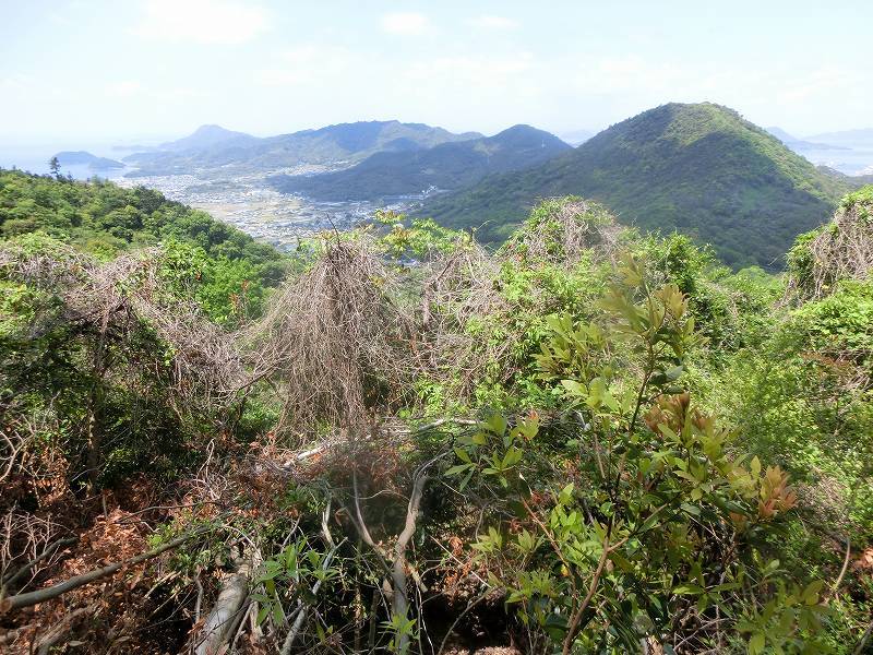 香川県　三豊の志保山　 欧風料理 chez Enzo_b0124306_22195034.jpg