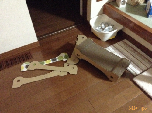 ぽんちゃん期待に応える!_d0344913_09001288.jpg