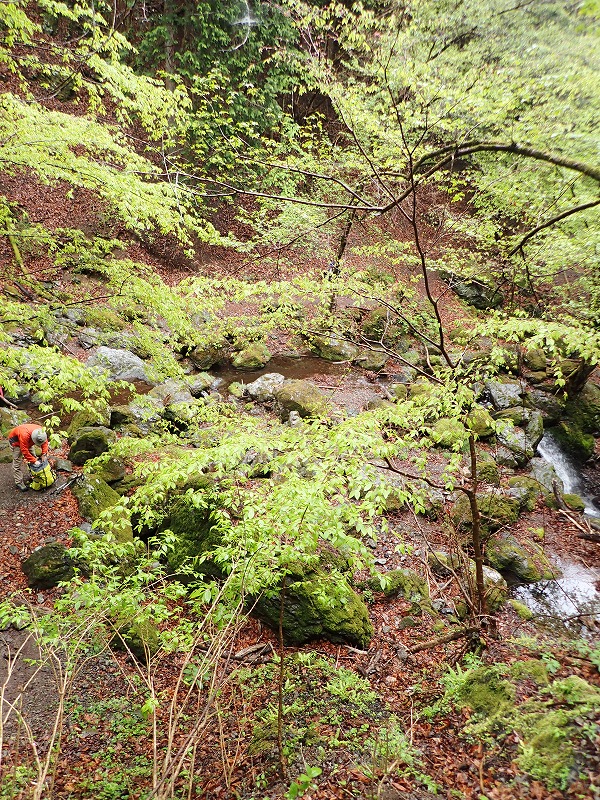 e0284726_21591837.jpg
