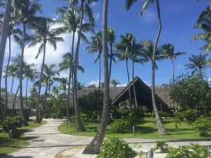タヒチ~ランギロアブルーの海へ!①_f0233340_15395612.jpg