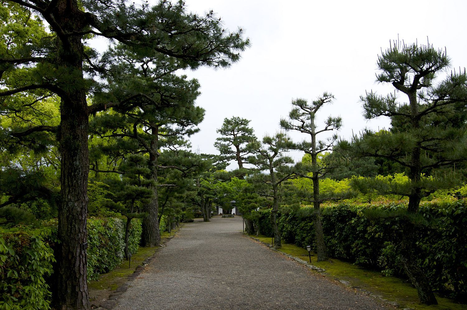 【重要文化財｜琴ノ浦温山荘】　行き方、見学のしかた　（和歌山県）_b0212342_09325680.jpg