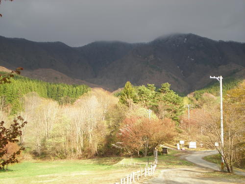 開花情報2_b0365347_22471870.jpg