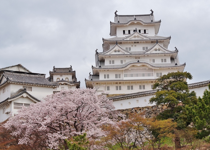 姫路城 三の丸広場の桜 たんぶーらんの戯言