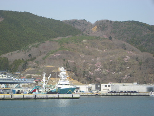 b0301459_60514.jpg