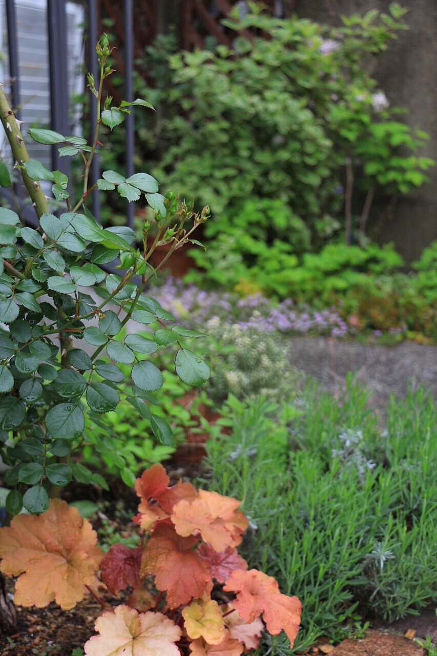 f0272164_10215724.jpeg