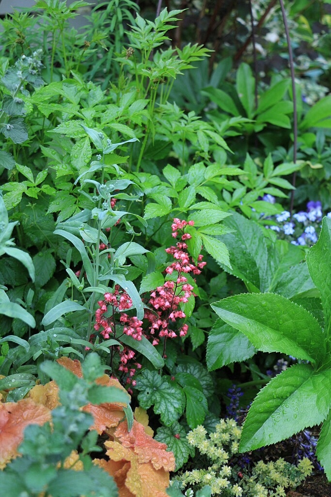 f0272164_11431330.jpeg