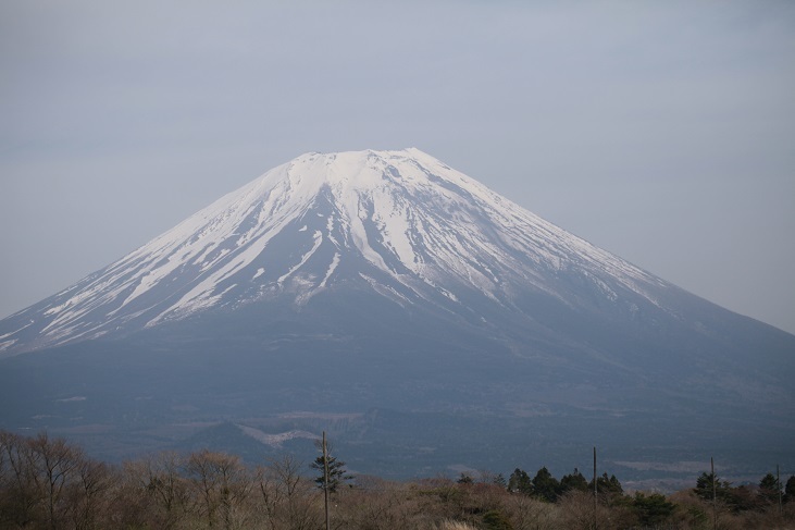 スミレ⑭（朝霧高原を歩く）_e0304170_20342640.jpg