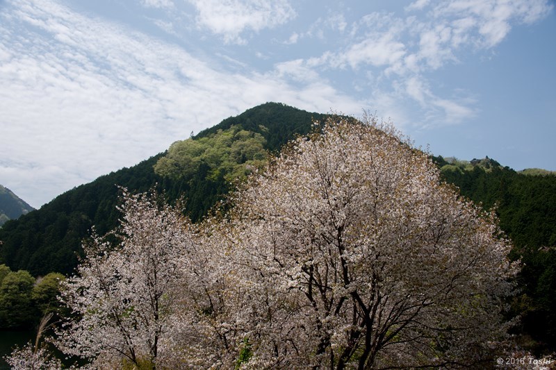 傑作を生んでくれた室生湖_c0350572_14051728.jpg