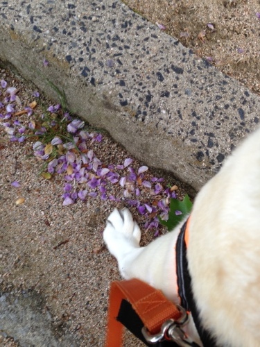 f0315081_16442871.jpeg