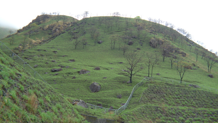 c0212083_23185258.jpg