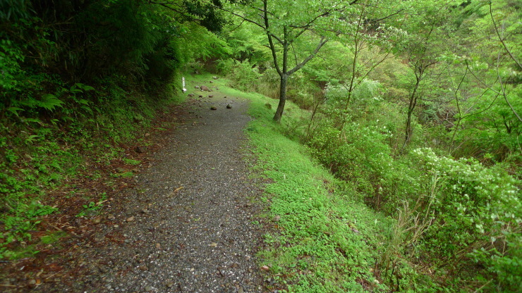c0212083_23242824.jpg