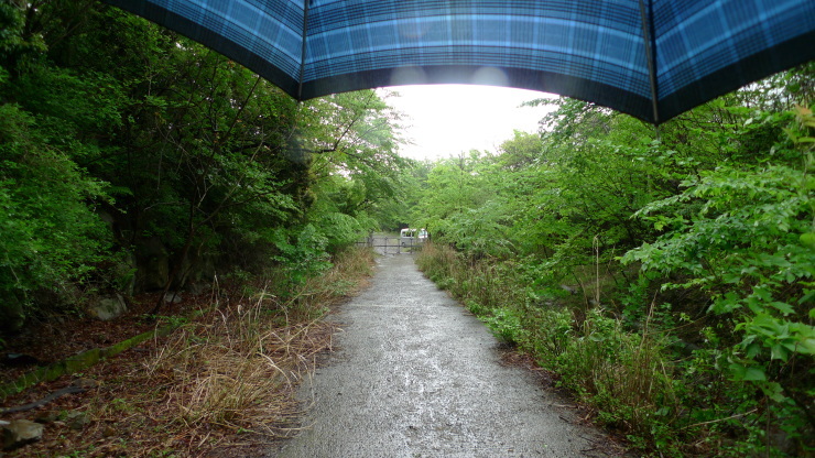 c0212083_23331215.jpg