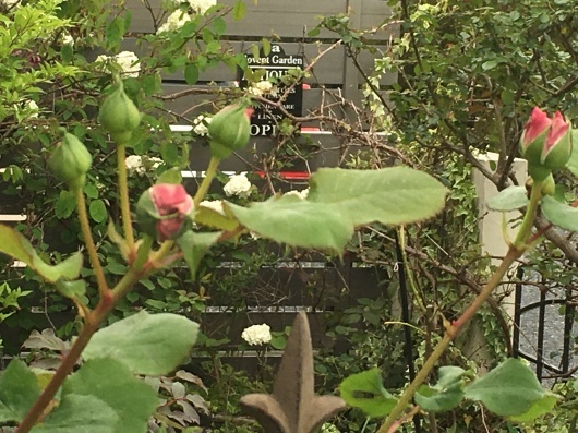 b0336787_01212678.jpeg