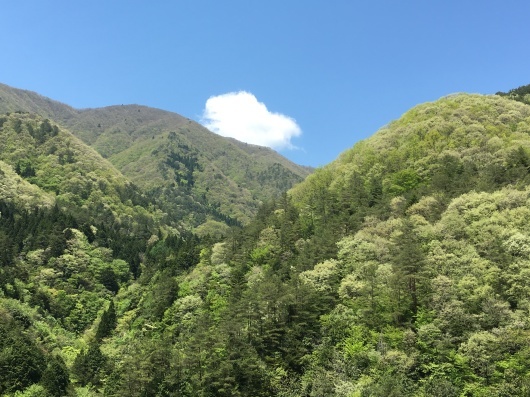 b0336787_23215462.jpeg