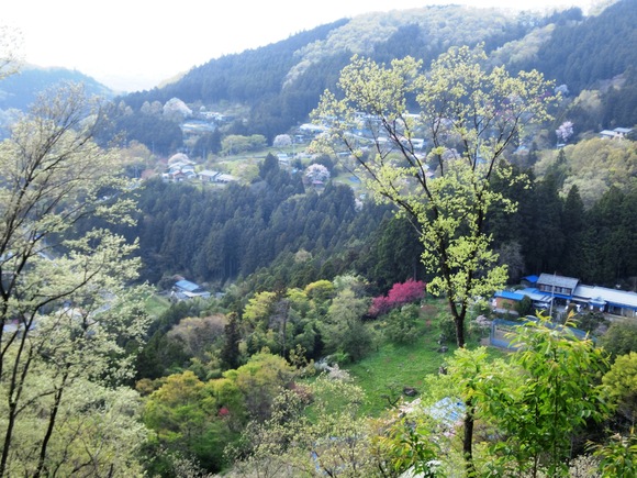 満開の桜に再会!ピンクと黄色と新緑ツー（群馬・上野村～埼玉・秩父）_a0186689_115846100.jpg