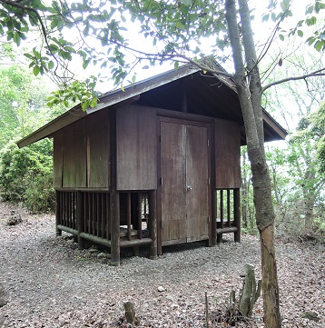 e0081292_20382724.jpg