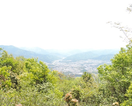 e0081292_20392382.jpg