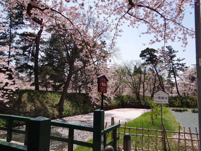 弘前公園・満開の桜と岩木山1　西豪と本丸付近など_a0136293_16451672.jpg
