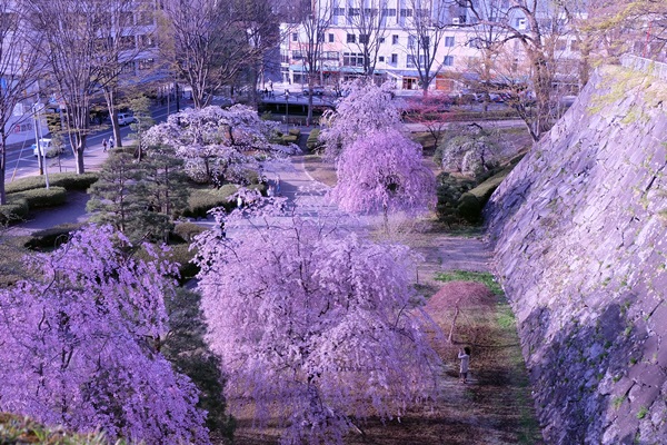 d0153294_2143509.jpg