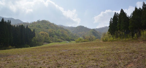 c0049095_9185356.jpg