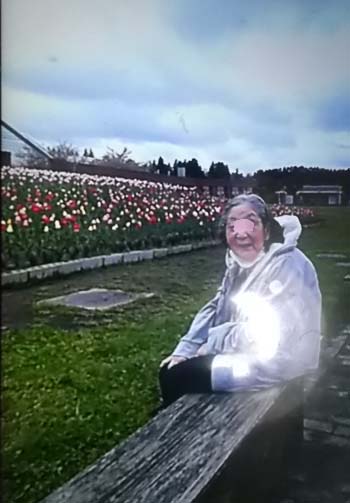 義母と夫がお花見ドライブ_f0019498_1841106.jpg